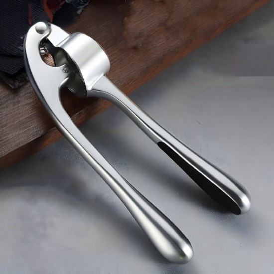 Stainless Steel Garlic Press